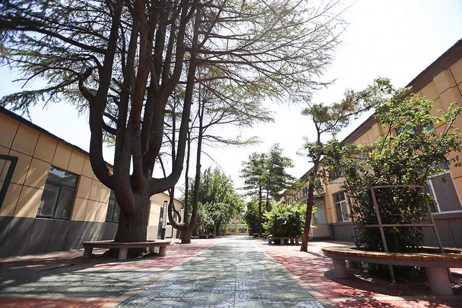 山矿技工学校校园